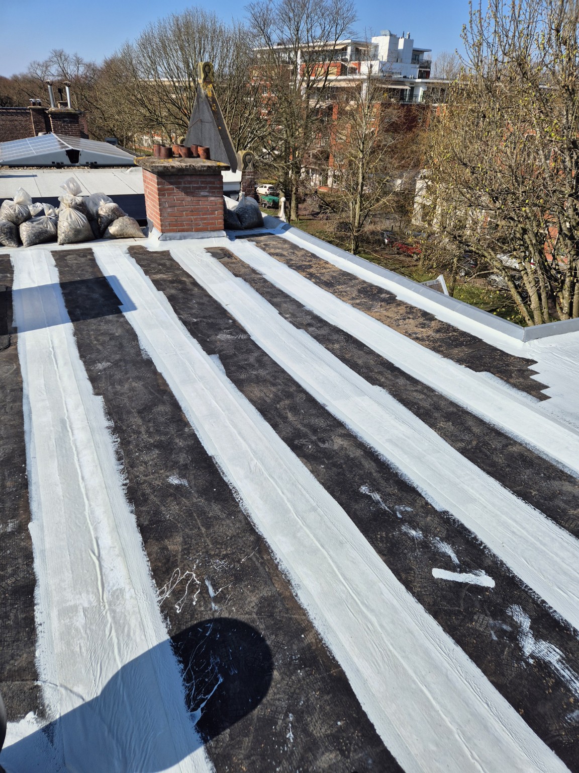 Reiniging en geotextiel bij hybride dakcoating op particulier dak in rijswijk